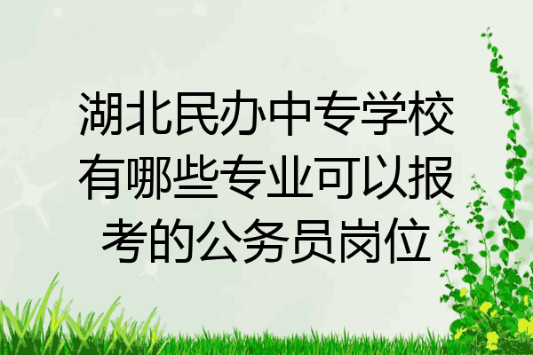湖北民办中专学校有哪些专业可以报考的公务员岗位