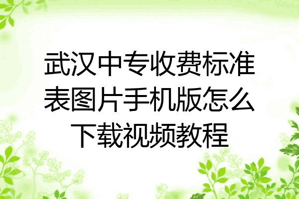 武汉中专收费标准表图片手机版怎么下载视频教程