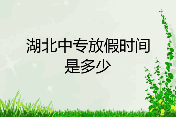 湖北中专放假时间是多少