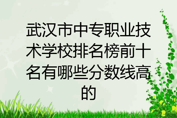 武汉市中专职业技术学校排名榜前十名有哪些分数线高的