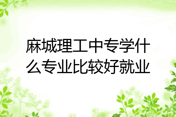 麻城理工中专学什么专业比较好就业