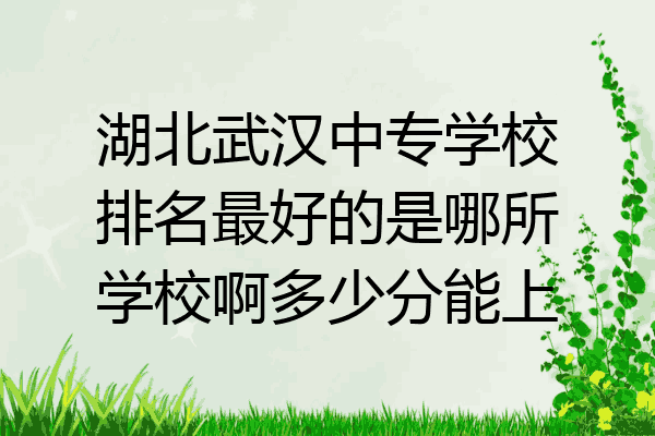 湖北武汉中专学校排名最好的是哪所学校啊多少分能上