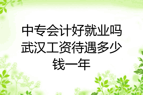 中专会计好就业吗武汉工资待遇多少钱一年