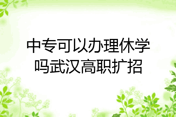 中专可以办理休学吗武汉高职扩招