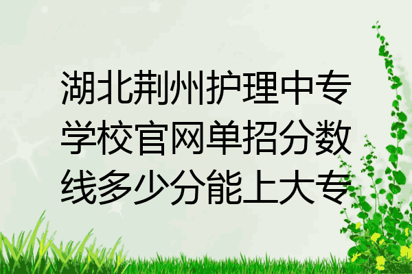 湖北荆州护理中专学校官网单招分数线多少分能上大专