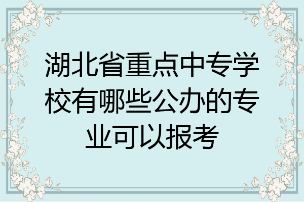 湖北省重点中专学校有哪些公办的专业可以报考