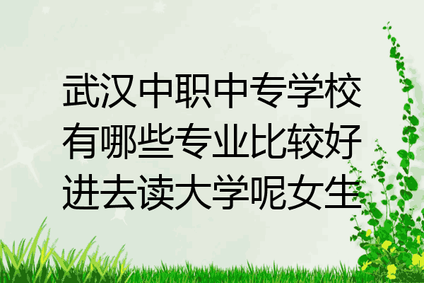 武汉中职中专学校有哪些专业比较好进去读大学呢女生