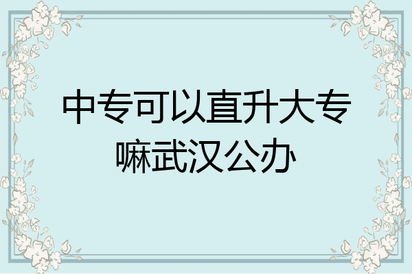 中专可以直升大专嘛武汉公办