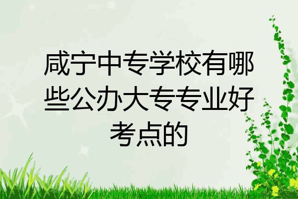 咸宁中专学校有哪些公办大专专业好考点的