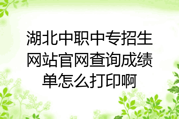 湖北中职中专招生网站官网查询成绩单怎么打印啊