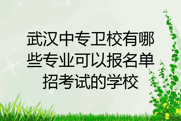 武汉中专卫校有哪些专业可以报名单招考试的学校