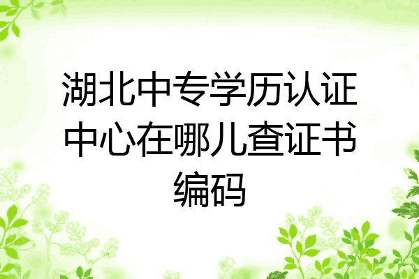 湖北中专学历认证中心在哪儿查证书编码