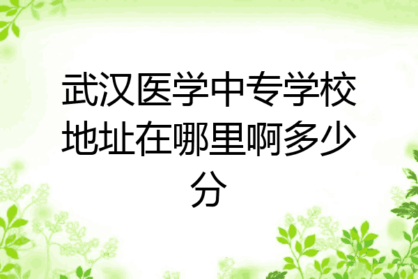 武汉医学中专学校地址在哪里啊多少分