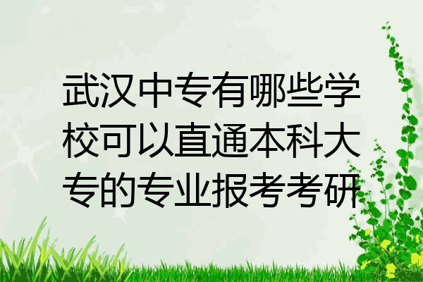 武汉中专有哪些学校可以直通本科大专的专业报考考研