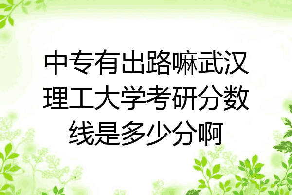 中专有出路嘛武汉理工大学考研分数线是多少分啊