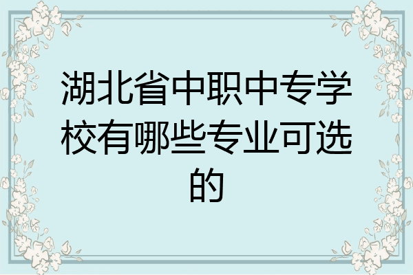 湖北省中职中专学校有哪些专业可选的