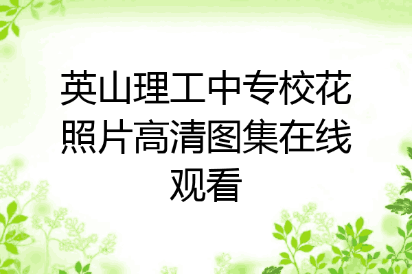英山理工中专校花照片高清图集在线观看