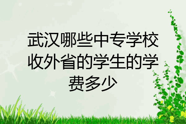 武汉哪些中专学校收外省的学生的学费多少