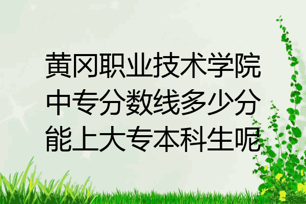 黄冈职业技术学院中专分数线多少分能上大专本科生呢