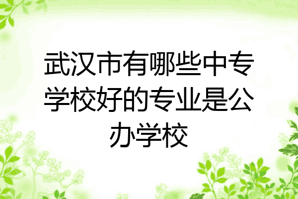 武汉市有哪些中专学校好的专业是公办学校