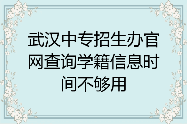 武汉中专招生办官网查询学籍信息时间不够用