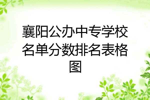襄阳公办中专学校名单分数排名表格图