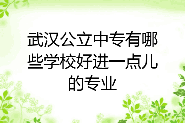 武汉公立中专有哪些学校好进一点儿的专业
