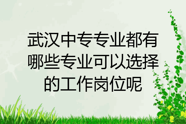 武汉中专专业都有哪些专业可以选择的工作岗位呢