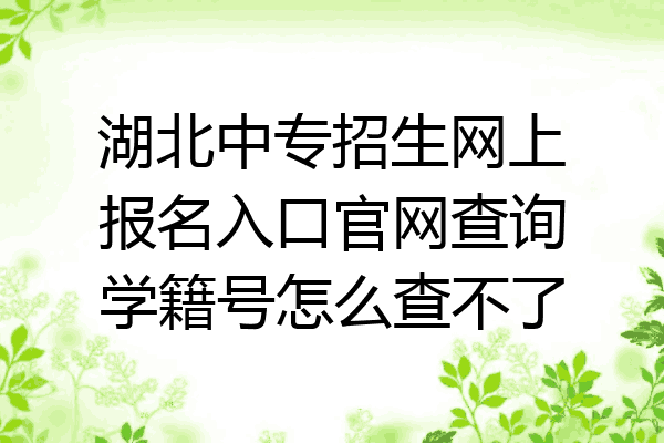 湖北中专招生网上报名入口官网查询学籍号怎么查不了