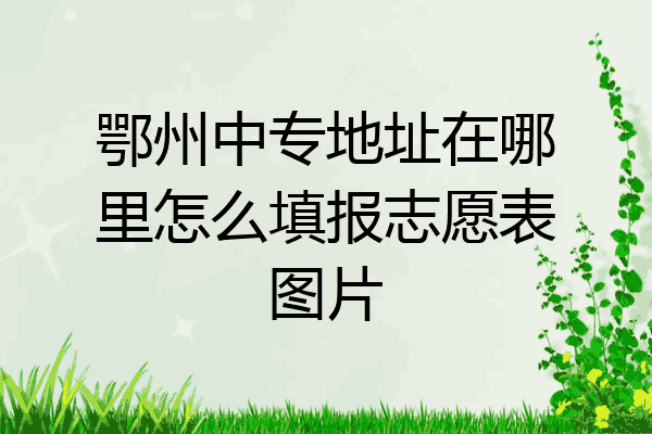 鄂州中专地址在哪里怎么填报志愿表图片