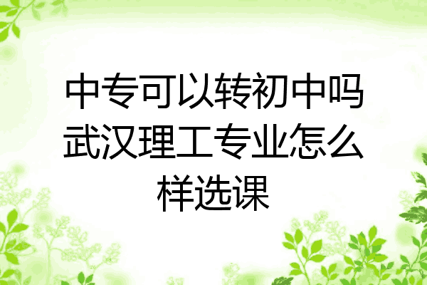 中专可以转初中吗武汉理工专业怎么样选课