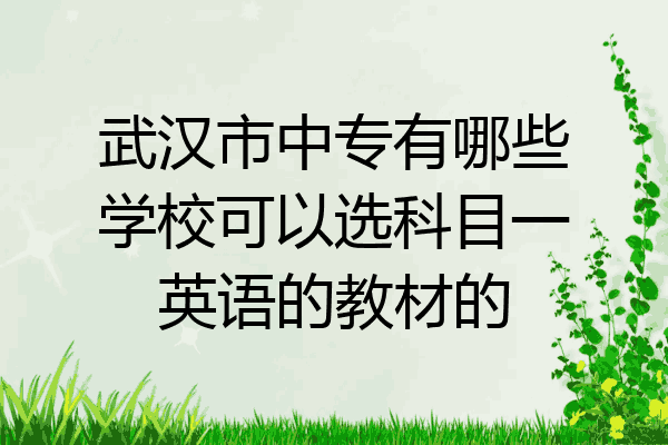 武汉市中专有哪些学校可以选科目一英语的教材的