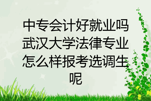 中专会计好就业吗武汉大学法律专业怎么样报考选调生呢