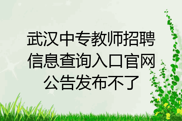 武汉中专教师招聘信息查询入口官网公告发布不了