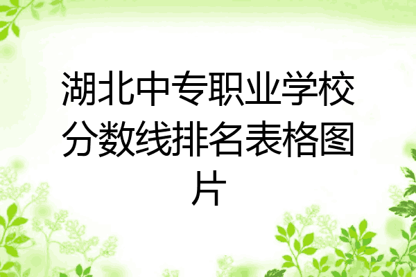 湖北中专职业学校分数线排名表格图片