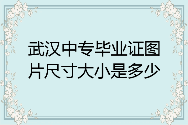 武汉中专毕业证图片尺寸大小是多少
