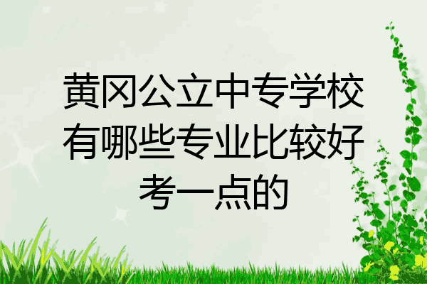黄冈公立中专学校有哪些专业比较好考一点的