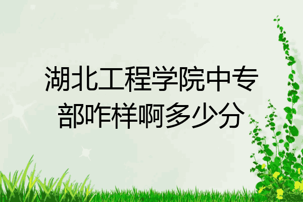 湖北工程学院中专部咋样啊多少分