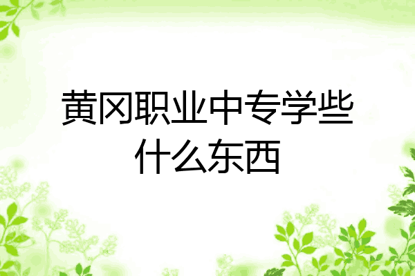 黄冈职业中专学些什么东西