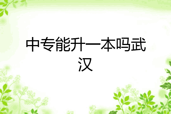 中专能升一本吗武汉