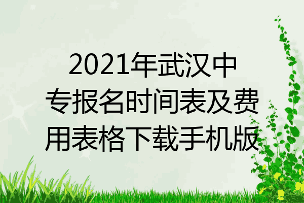 2021年武汉中专报名时间表及费用表格下载手机版