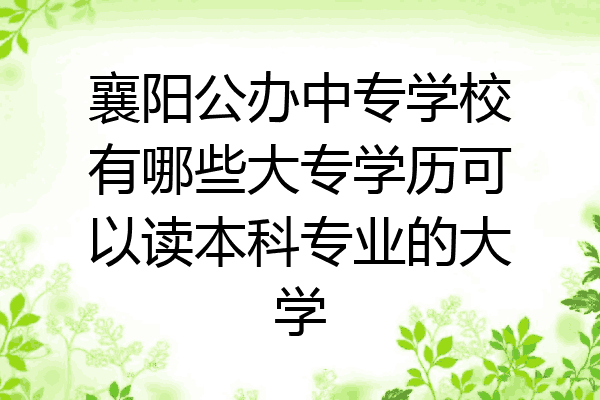 襄阳公办中专学校有哪些大专学历可以读本科专业的大学