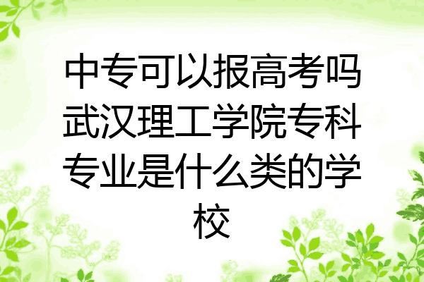 中专可以报高考吗武汉理工学院专科专业是什么类的学校
