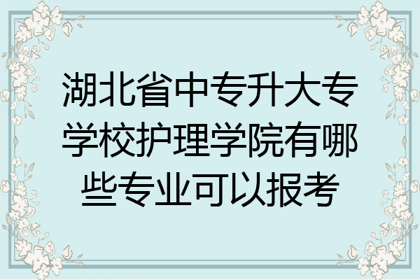 湖北省中专升大专学校护理学院有哪些专业可以报考