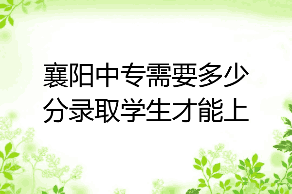 襄阳中专需要多少分录取学生才能上