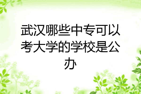 武汉哪些中专可以考大学的学校是公办