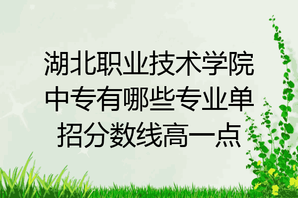湖北职业技术学院中专有哪些专业单招分数线高一点