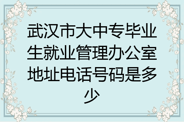 武汉市大中专毕业生就业管理办公室地址电话号码是多少