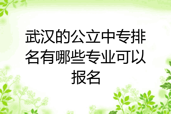 武汉的公立中专排名有哪些专业可以报名