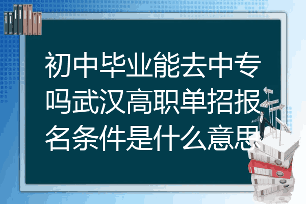 初中毕业能去中专吗武汉高职单招报名条件是什么意思